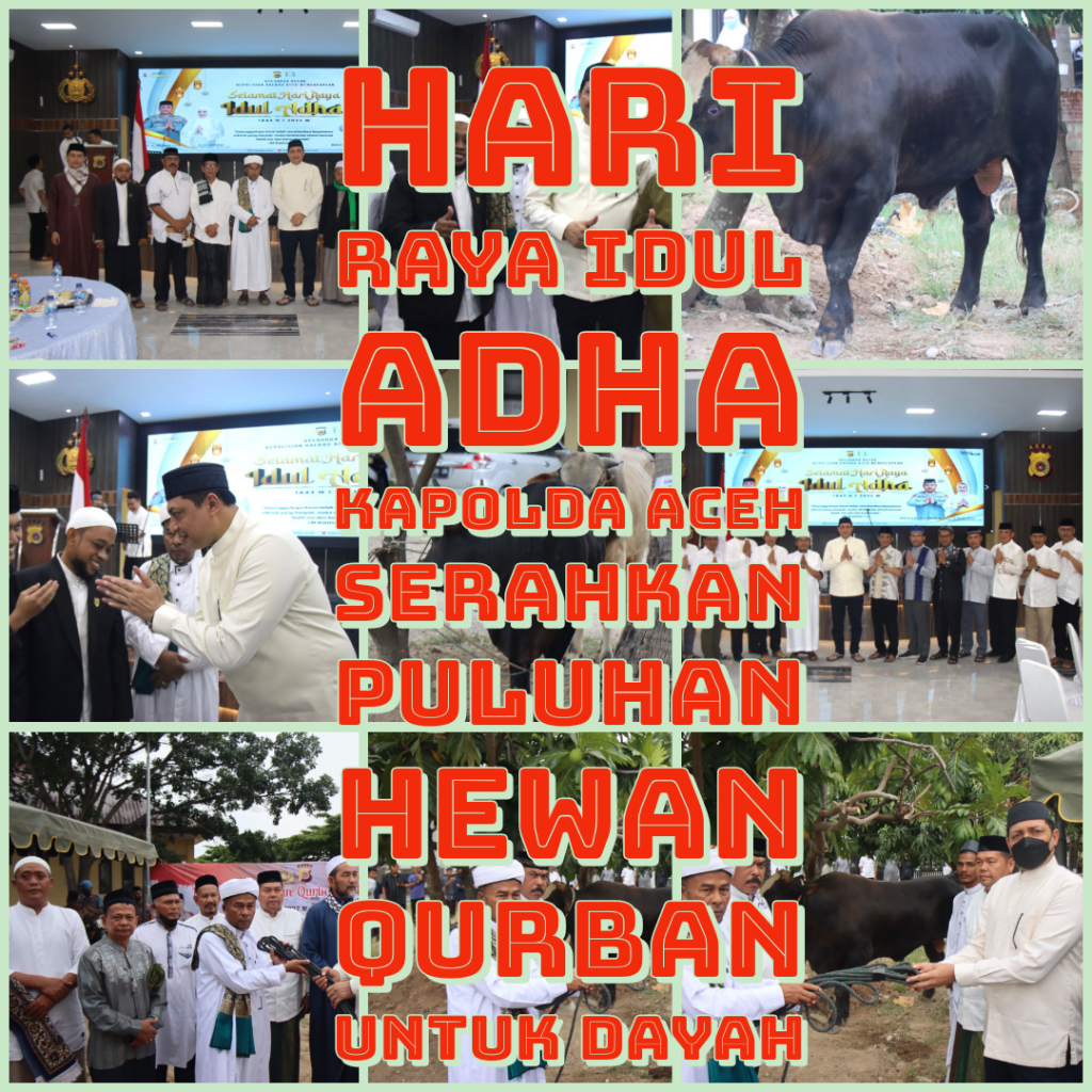 Hari Raya Idul Adha Kapolda Aceh Serahkan Puluhan Hewan Qurban untuk Dayah